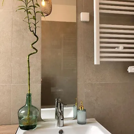 Le Tanin -appartement Entier Avec Balcon アパート ソミュール