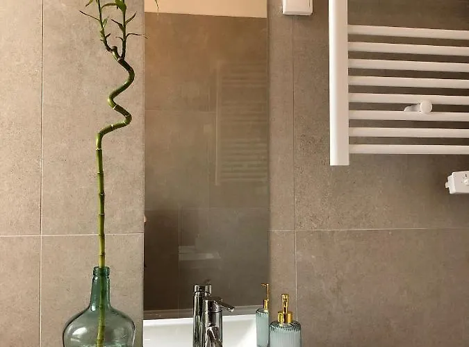 Le Tanin -appartement Entier Avec Balcon דירה סומור